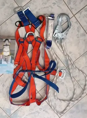 Fullbody Harness With Back Support