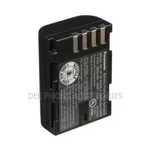 Digital Panasonic DMW BLF 19 Rechargeable Camera Battery