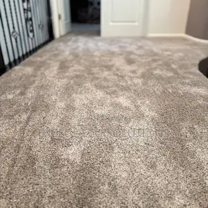 Delta Carpets – Your Floor’S Favorite Upgrade