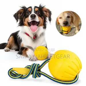 Swing Fling Durafoam Ball on Rope Dog Toy, Floating