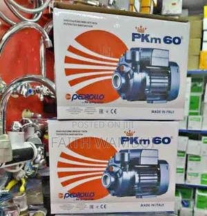 New PKM 60 Pedrollo Water Pump/ Pedrollo Water Pump