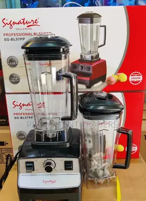 *Signature Commercial Blender