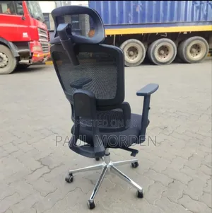 Adjustable Arms Office Strong Orthopaedic