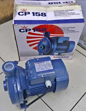 1hp Pedrollo Water Pump*Water Pump Pedrollo 1hp