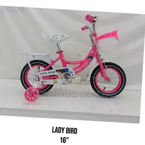 Pink Lady Bird Size 16 Bike