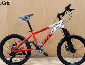Luta Adjustable Mountain Bike Size 20 