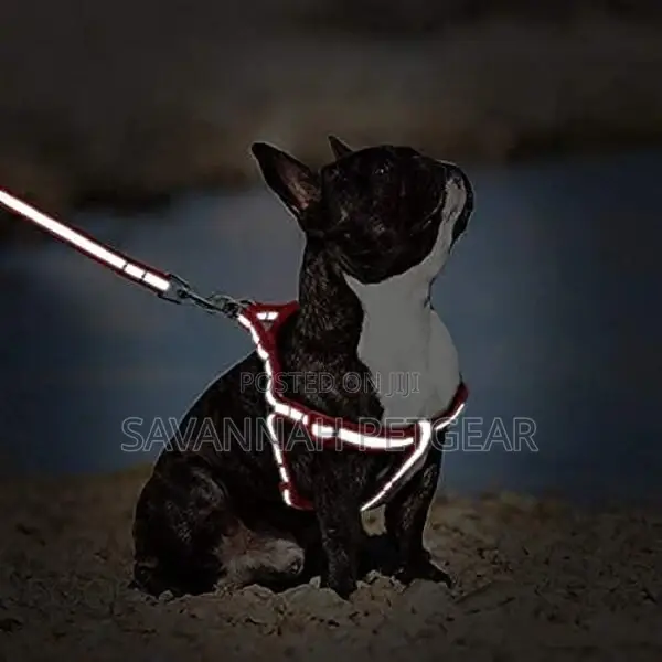 Adjustable Soft Nylon Reflective Strip Dog Harness Leash