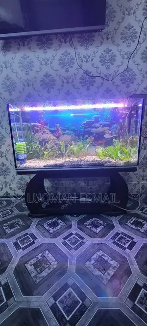 Complete Planted Aquarium