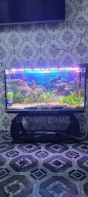Complete Planted Aquarium