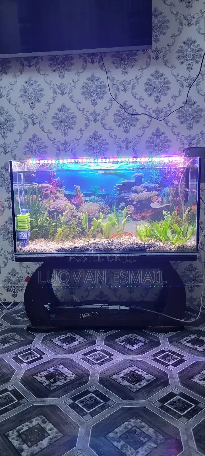 Complete Planted Aquarium