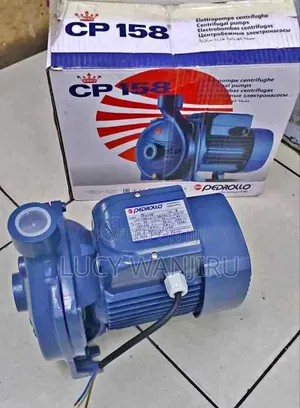 CPM 158 1hp Pedrollo Water Pump/ Electric 1hp Pedrollo Pump