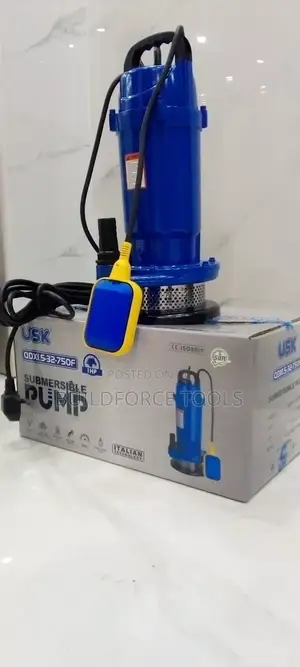 1.0hp Usk Submersible Pump With Float Switch