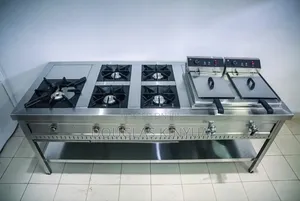 Stainlesssteelcommercialcombinedcookingunit (2units)