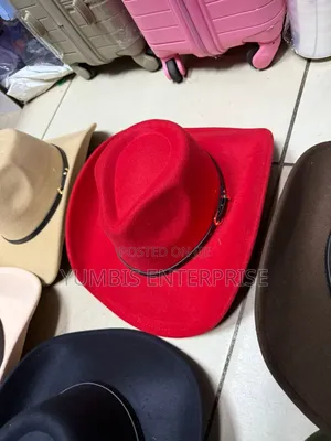 Western Style Unisex Stylish Cowboy Hats for Adults