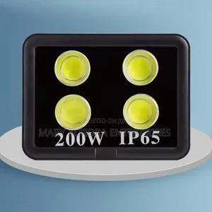 200 Watts Ac Floodlight