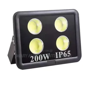 200 Watts Ac Floodlight