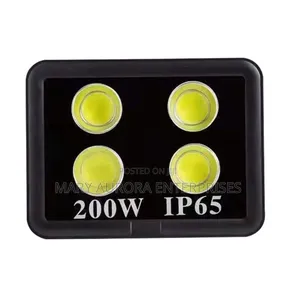 200 Watts Ac Floodlight
