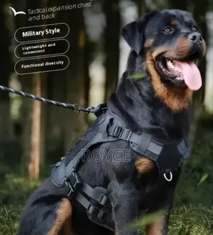 Tactical Dog Harness