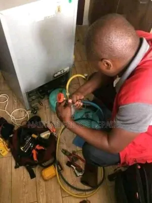 Fridges Repair