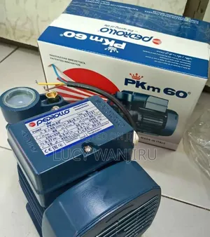 Pedrollo Water Pump/Pedrollo Pump 0.5hp / Electric Pedlol