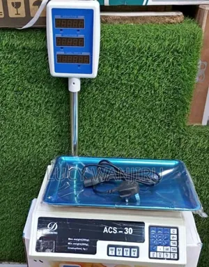 Arm Digital Weighing Scale 30kgs / Acs 30 Digital Scale