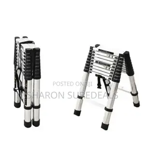Dual Telescopic Ladder/Aluminium Ladder1.6m+1.6m