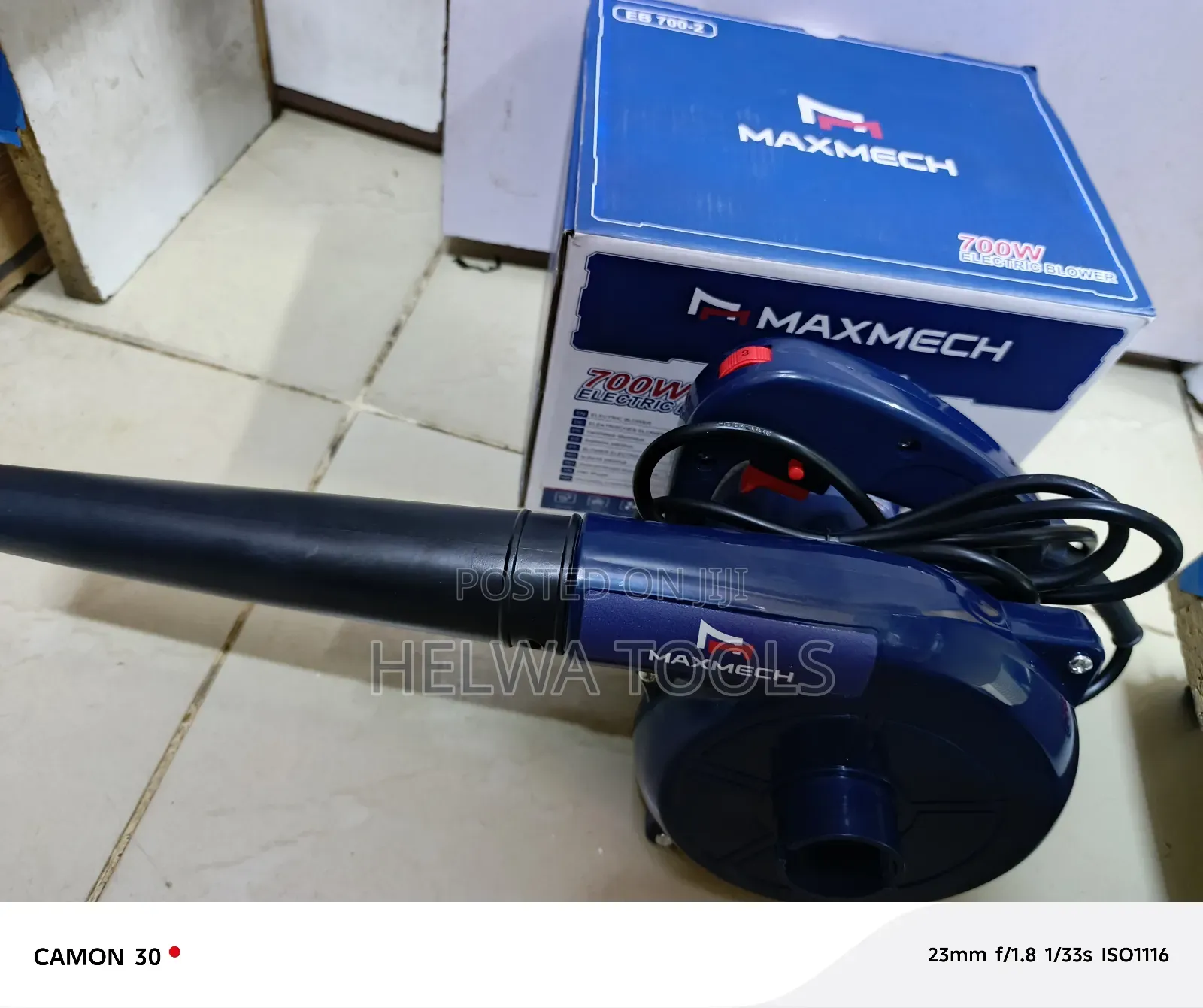 Electric Blower 700 Watts