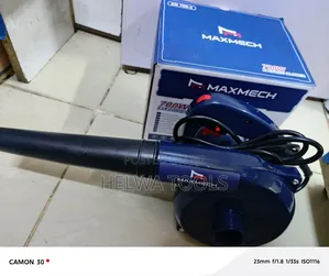 Electric Blower 700 Watts