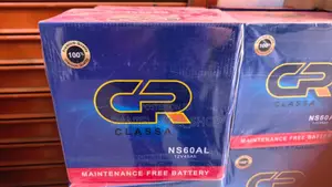Ns60 Left Car Battery Free Maintenance