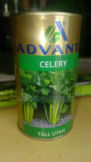 Advanta Celery Tall Utah Seeds - 50 Grams