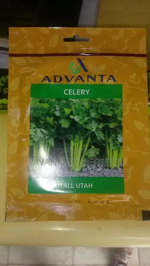 Advanta Brand Celery Tall Utah Seeds. - 25 Grams