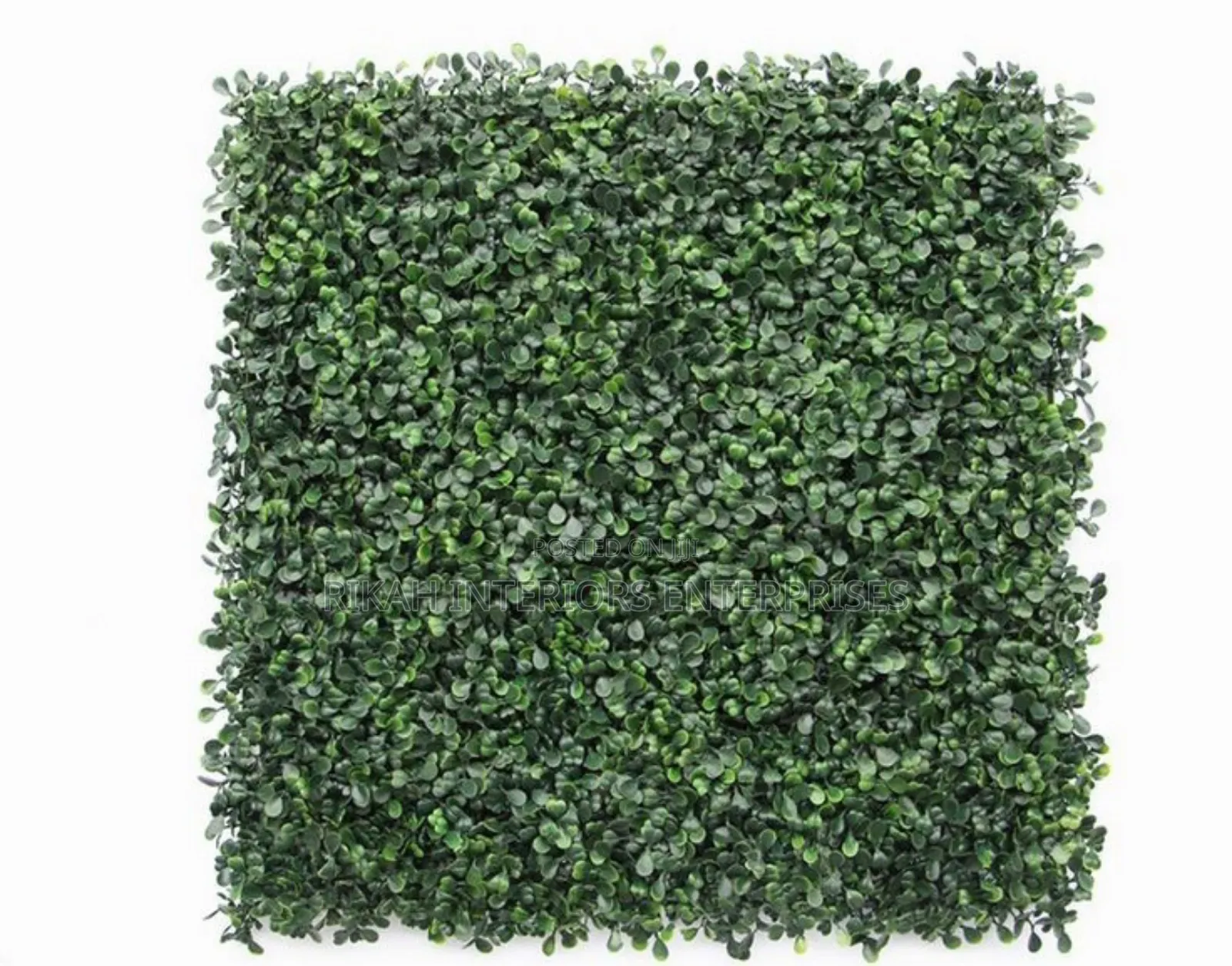 40 by 60 Wall Hedge