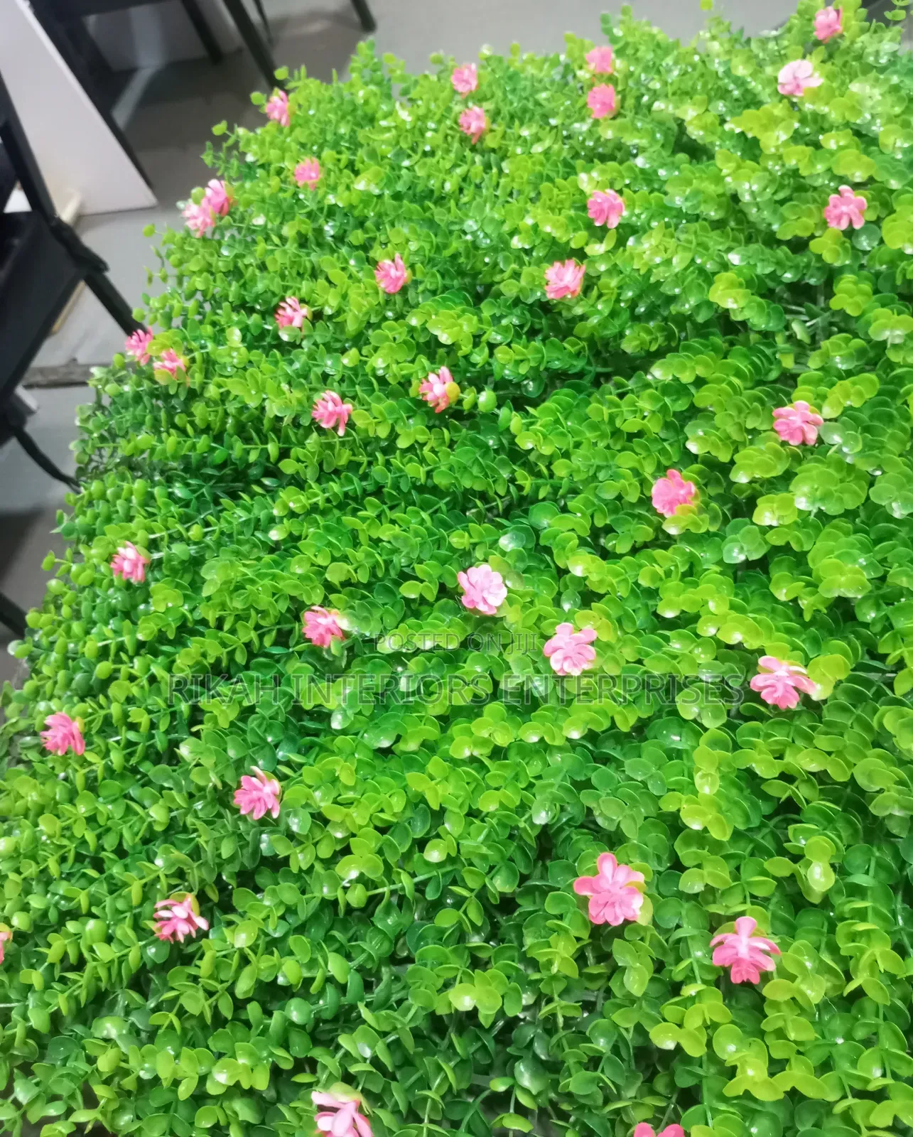 Decorative Wall Hedge