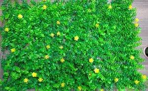 Flowered Wall Hedge