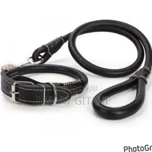 Complete Set Easy Grip Rolled Up Leather Dog Collarandleash*