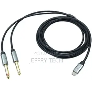 Versatile Type-C Dual 6.35 Audio Cables for Public Use 1.5m