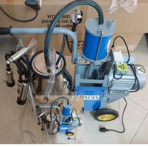 Modern Dairy Milking Machine