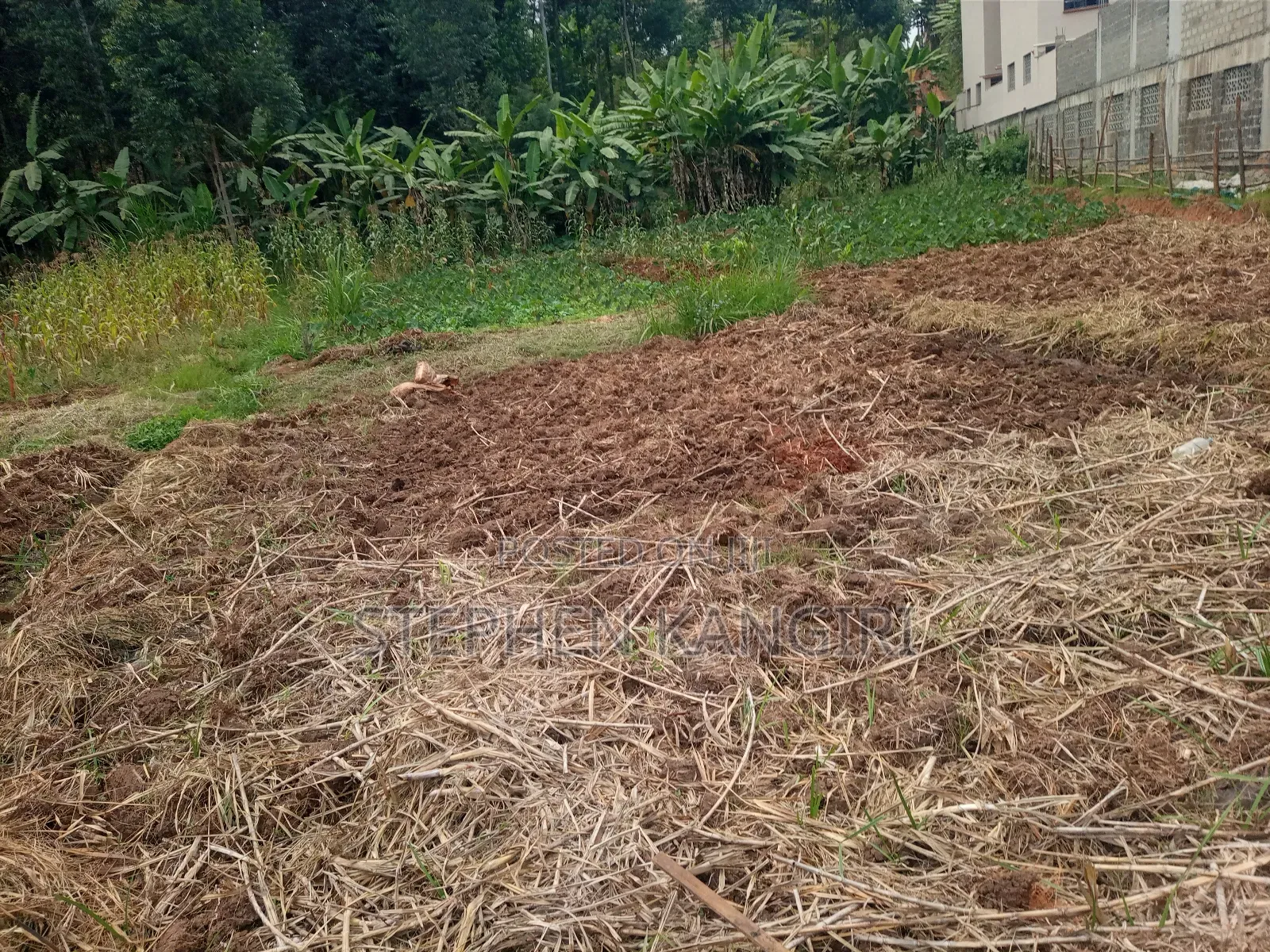 Residential/Commercial Plot