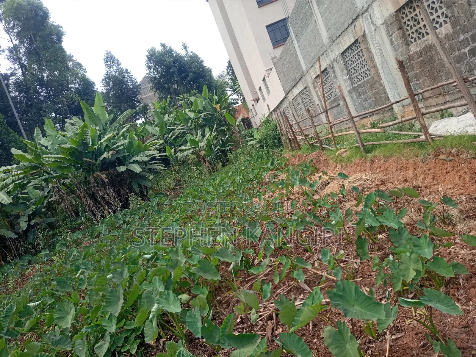 Residential/Commercial Plot