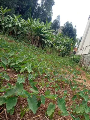 Residential/Commercial Plot