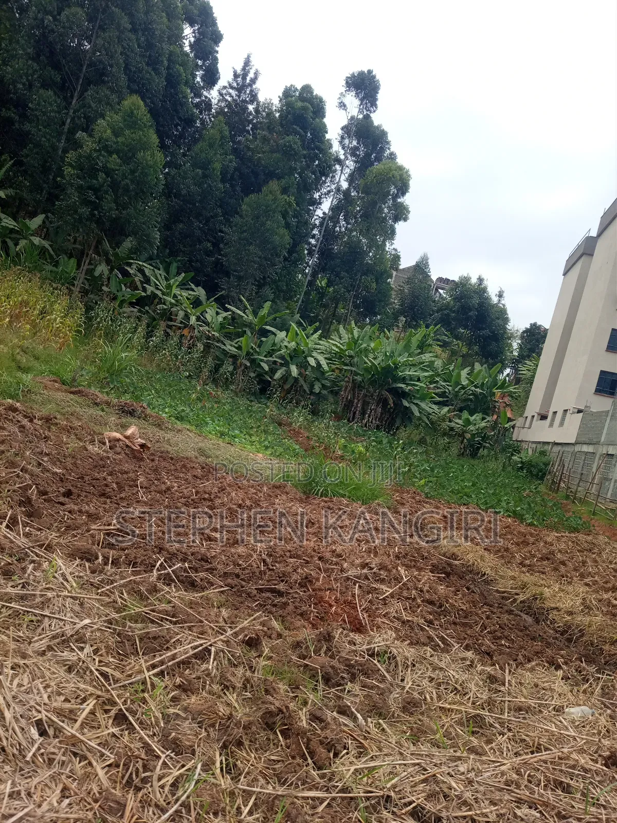 Residential/Commercial Plot