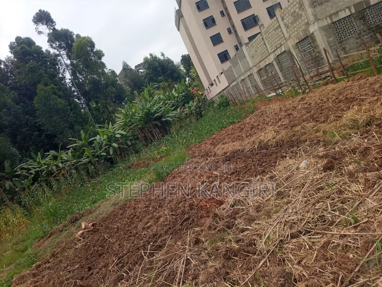 Residential/Commercial Plot