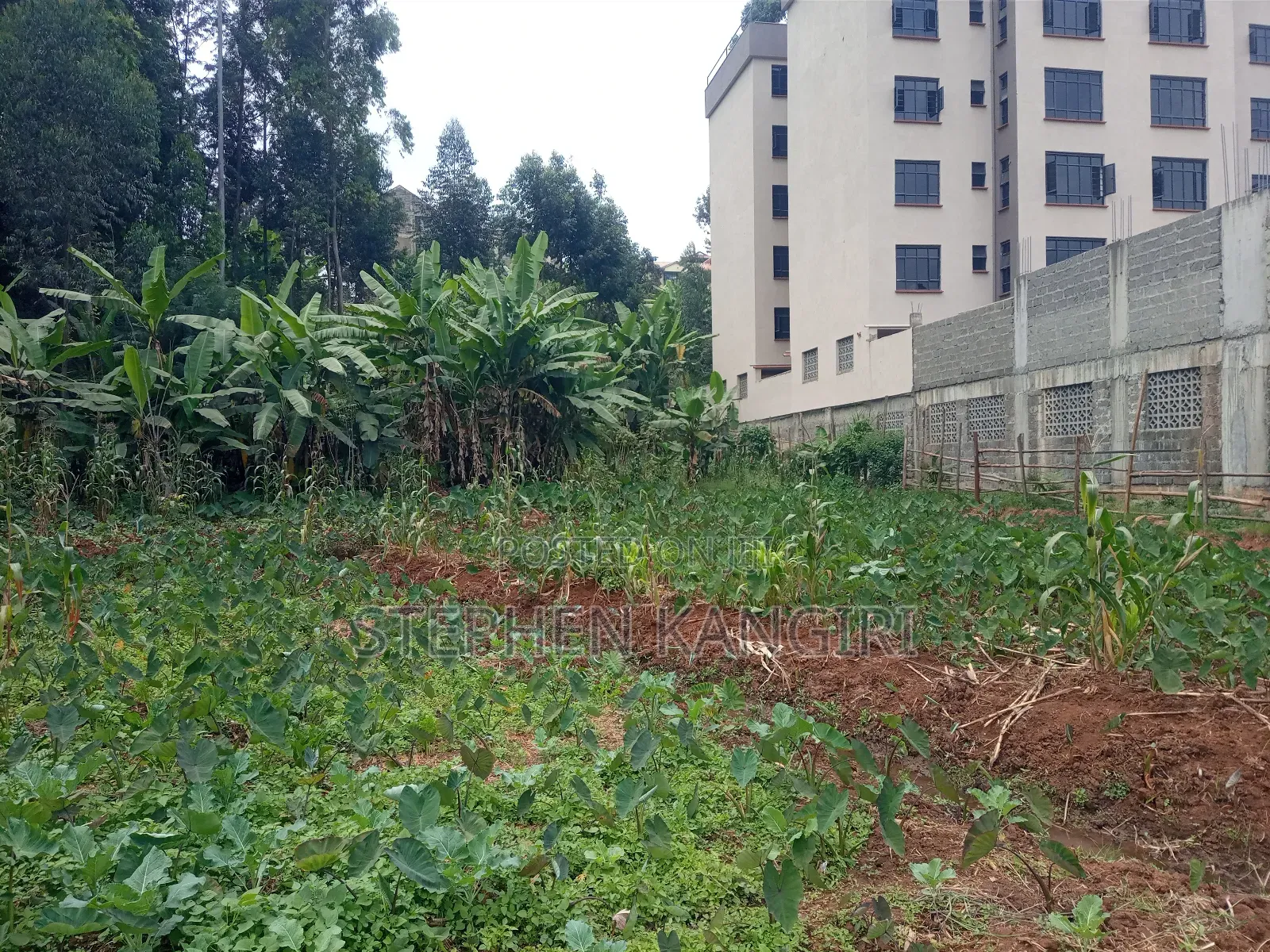 Residential/Commercial Plot