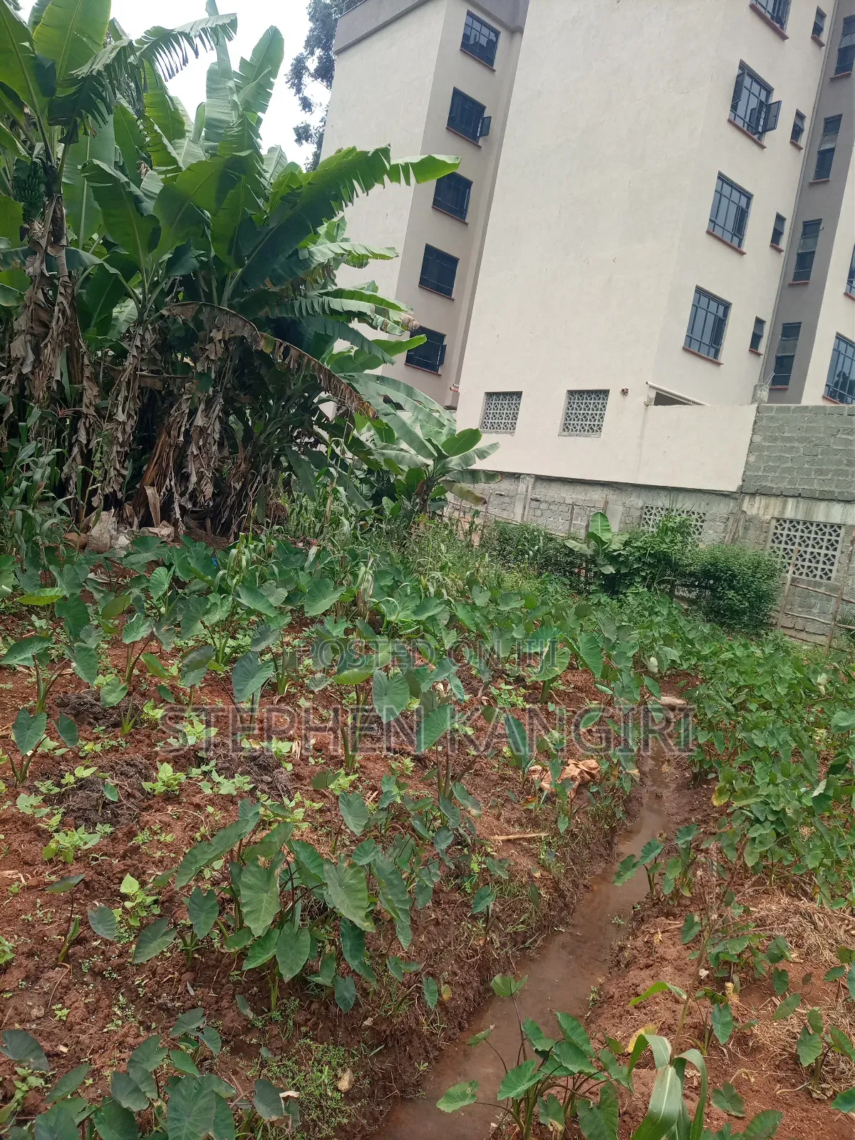 Residential/Commercial Plot