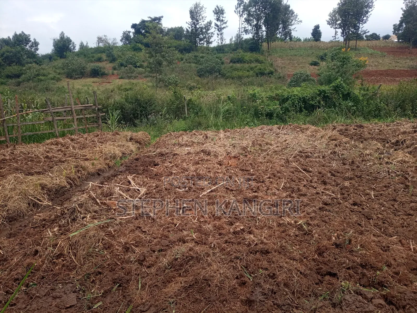 Residential/Commercial Plot