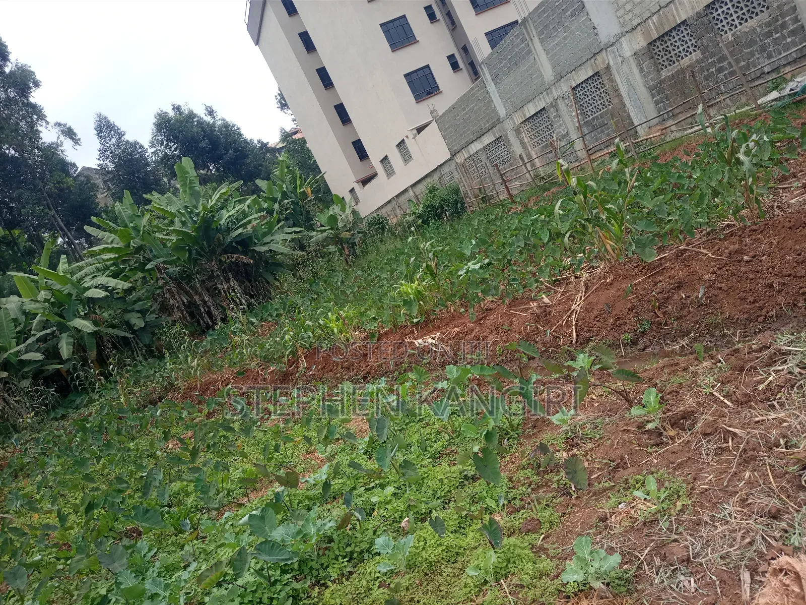 Residential/Commercial Plot