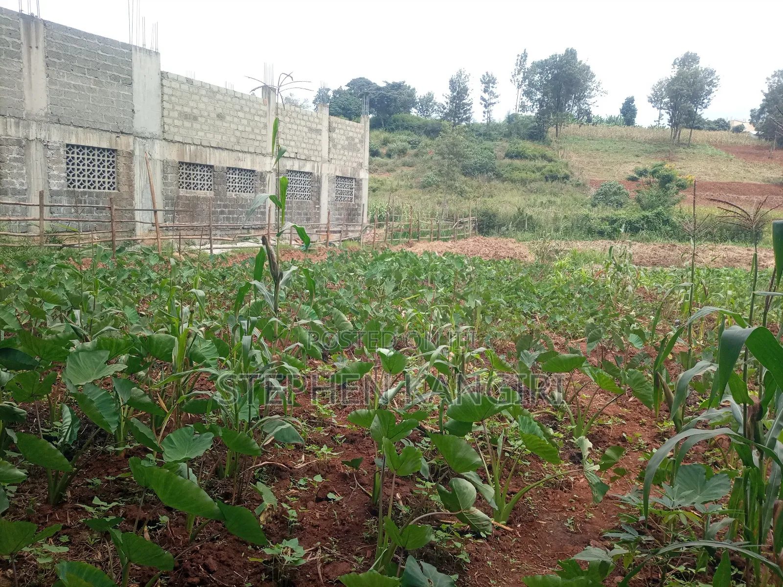 Residential/Commercial Plot