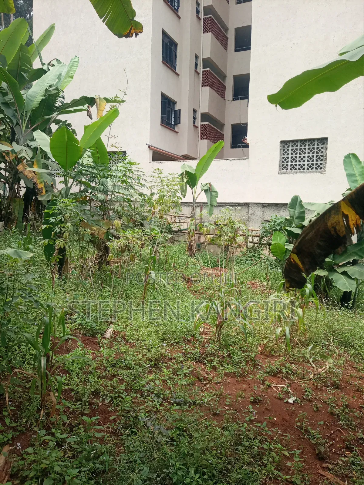 Residential/Commercial Plot