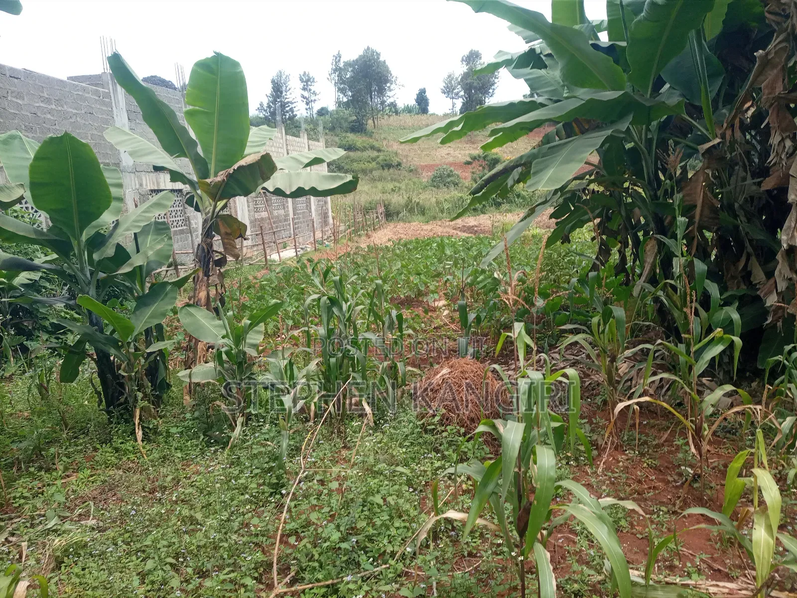 Residential/Commercial Plot