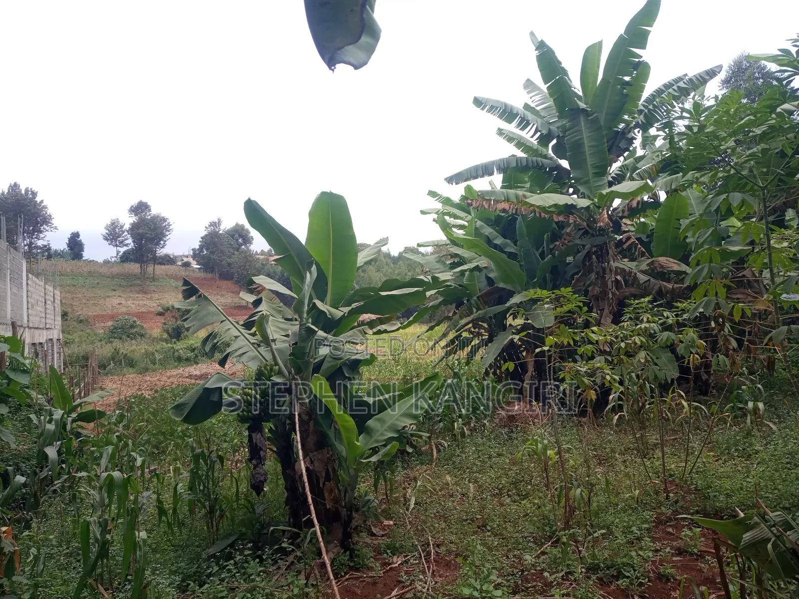 Residential/Commercial Plot